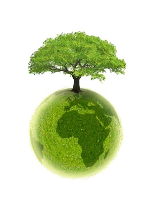 Obligations d'Etat vertes : la France émet des Green Bonds en 1ère mondiale